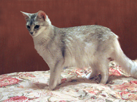 Photo of Rusalka