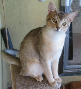 Photo of Tyko
