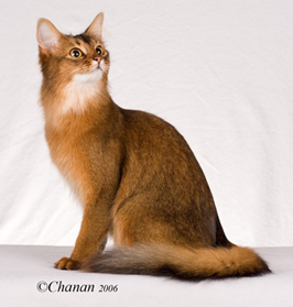 Photo of Tzarina
